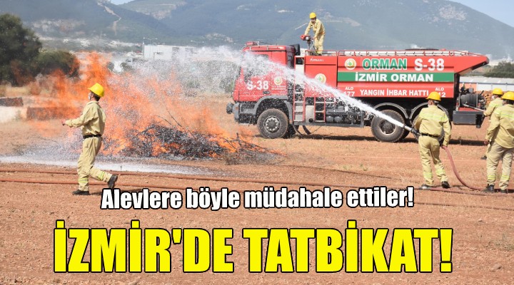 İzmir'de orman yangını tatbikatı!