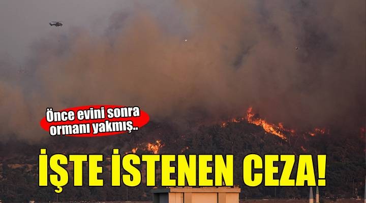 İzmir'de orman yangınına neden olduğu öne sürülen sanığa 3 yıla kadar hapis talebi
