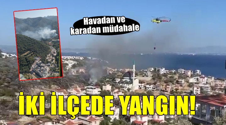 İzmir'de orman yangınları...