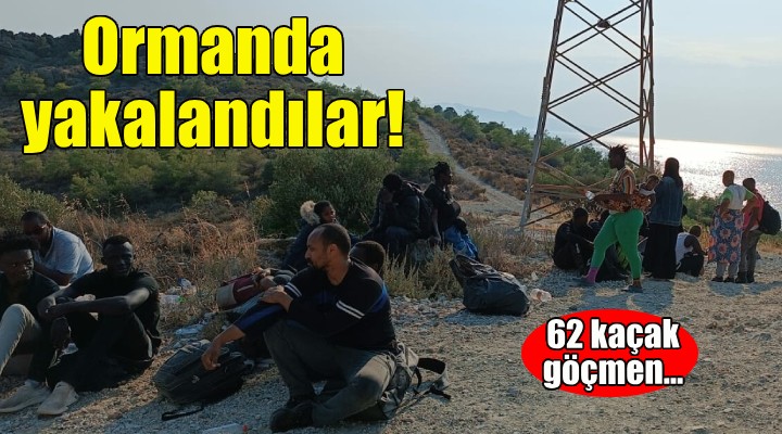 İzmir'de ormanda 62 kaçak göçmen yakalandı!