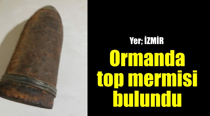 İzmir'de ormanda bulunan top mermisi imha edildi