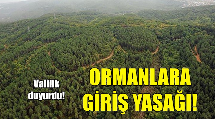 İzmir'de ormanlara giriş yasağı!