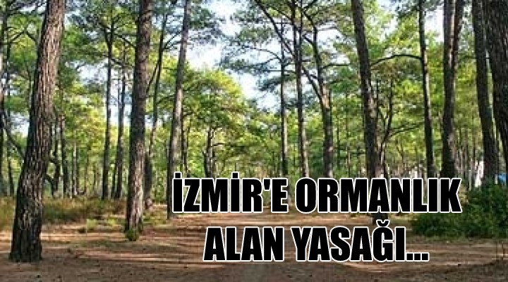 İzmir'de ormanlık alan yasağı!