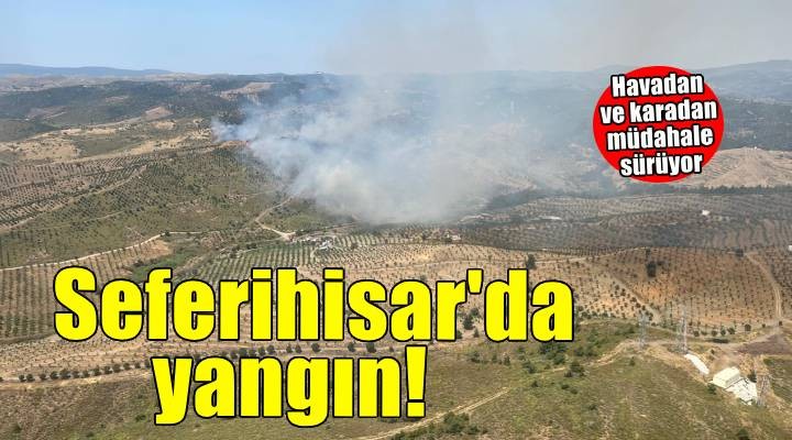 İzmir'de otluk alanda çıkan yangına müdahale ediliyor