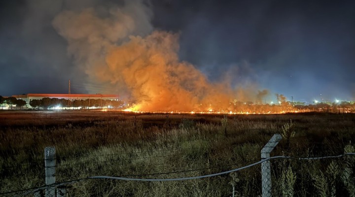 İzmir'de otluk yangını..