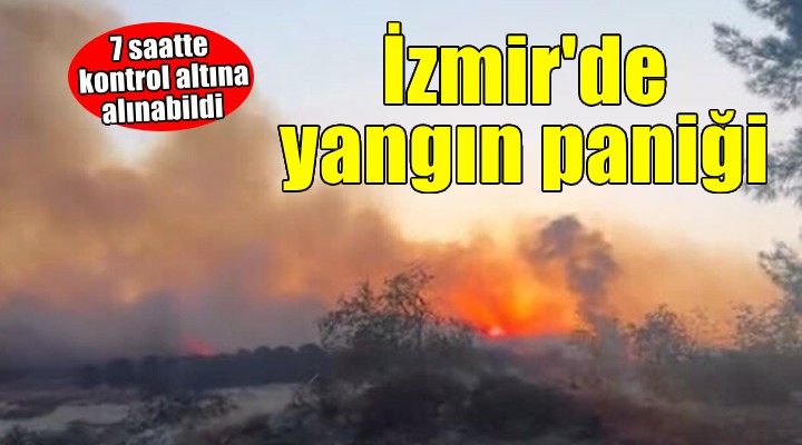 İzmir'de otluk yangını... 7 saatte kontrol altına alınabildi!