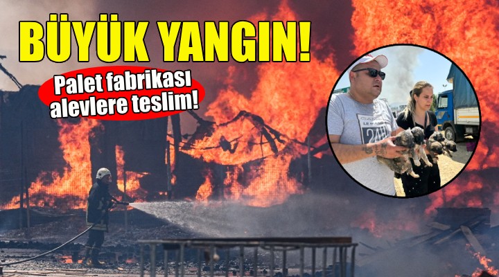 İzmir'de palet fabrikasında büyük yangın!