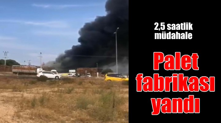 İzmir'de palet fabrikasında yangın