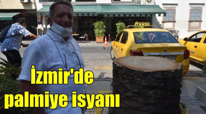İzmir'de palmiye isyanı!