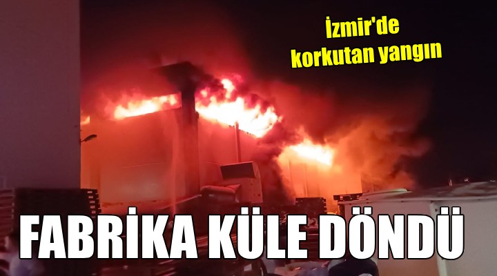 İzmir'de polyester fabrikasında yangın...