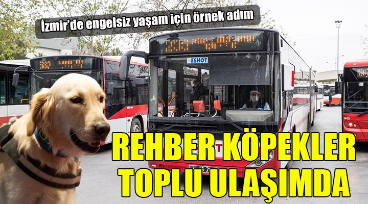 İzmir'de rehber köpekler toplu ulaşımda!