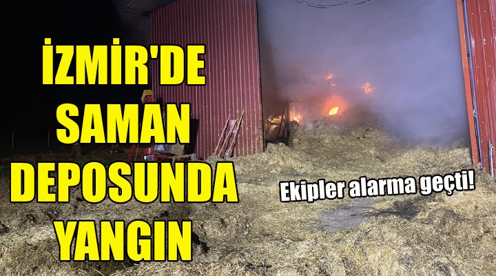 İzmir'de saman deposunda yangın!