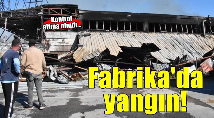 İzmir'de sandalye fabrikasında yangın