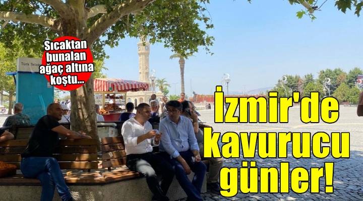 İzmir'de sıcaktan bunalanlar, ağaç altlarında serinlemeye çalıştı