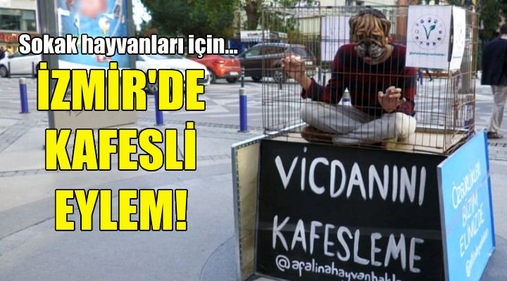 İzmir'de sokak hayvanları için kafesli eylem!