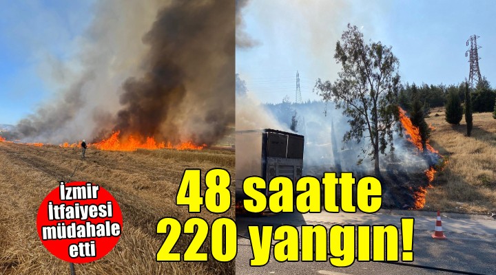 İzmir'de son 48 saatte 220 yangın...