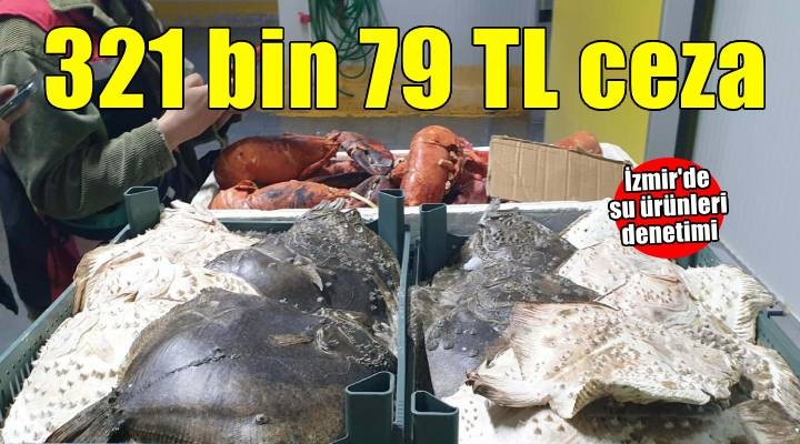 İzmir'de su ürünleri denetiminde toplam 321 bin 79 TL ceza uygulandı