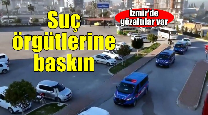 İzmir'de suç örgütü operasyonu...