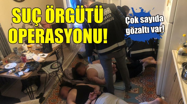 İzmir'de suç örgütüne operasyon!