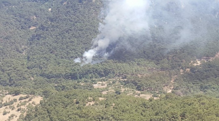 İzmir'de tabiat parkı yakınında orman yangını