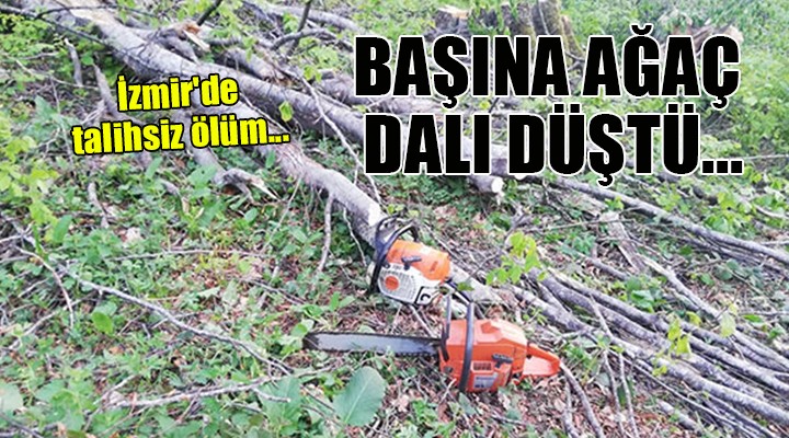 İzmir'de talihsiz ölüm... Başına ağaç dalı düştü!