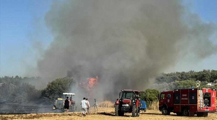 İzmir'de tarım arazisinde çıkan yangın söndürüldü