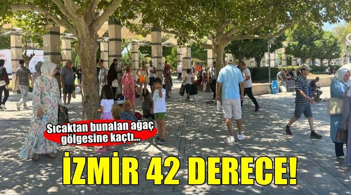 İzmir'de termometreler 42 dereceyi gösterdi