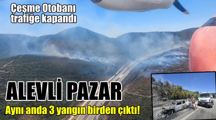 İzmir'de üç orman yangını birden!