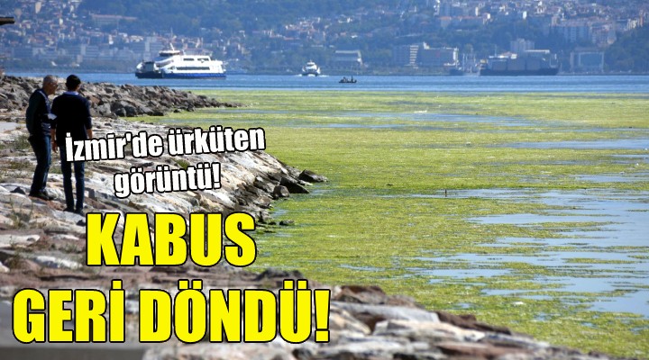 İzmir'de ürküten görüntü!