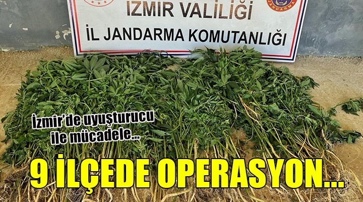 İzmir'de uyuşturucu operasyonları...
