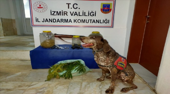 İzmir'de uyuşturucu operasyonlarında 17 şüpheli yakalandı