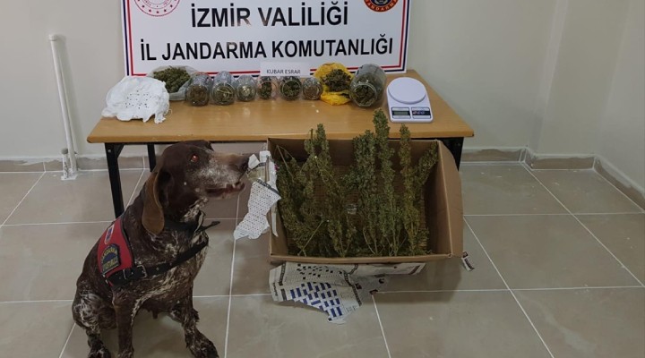 İzmir'de uyuşturucu operasyonu: 7 gözaltı