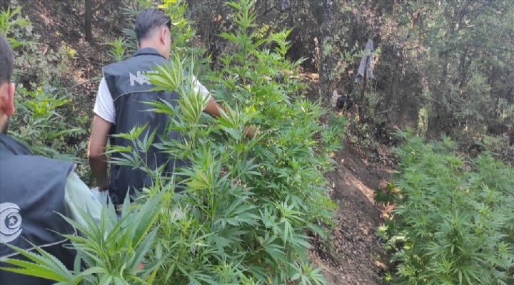 İzmir'de uyuşturucu operasyonunda 2 şüpheli yakalandı