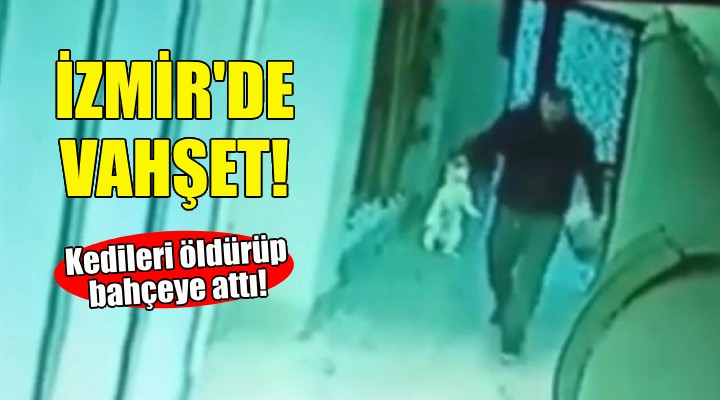 İzmir'de vahşet... Kedileri öldürüp apartmanın bahçesine attı!