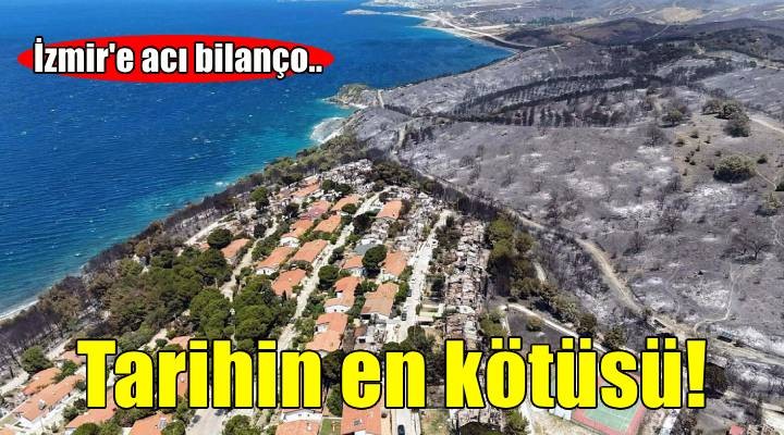 İzmir'de yanan alan rekoru kırıldı