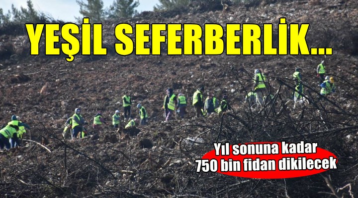 İzmir'de yanan alanlar için seferberlik...