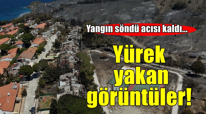 İzmir'de yanan alanlar ve evler havadan görüntülendi!