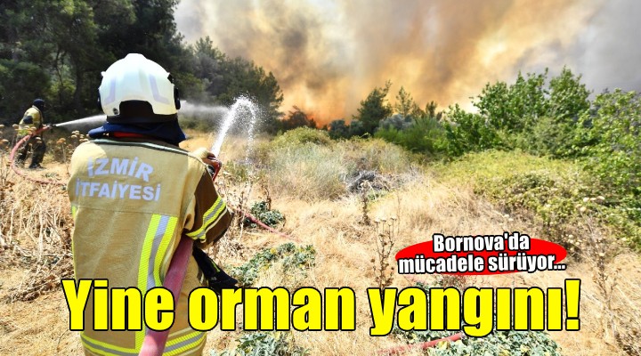 İzmir'de yangın... Alevler Bornova'dan Buca'ya ulaştı!