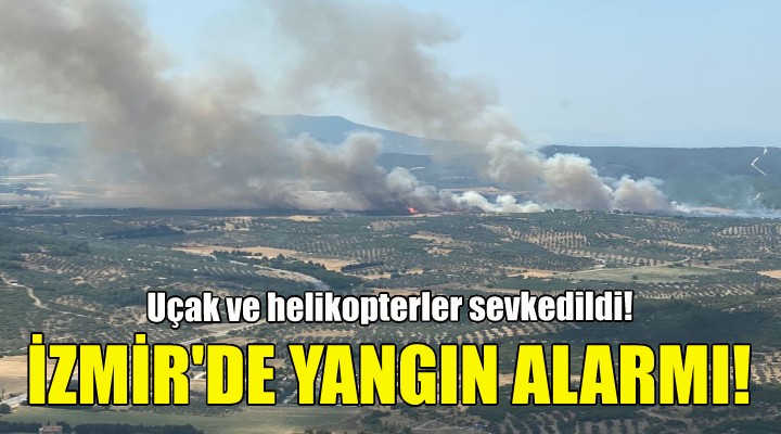 İzmir'de yangın alarmı!