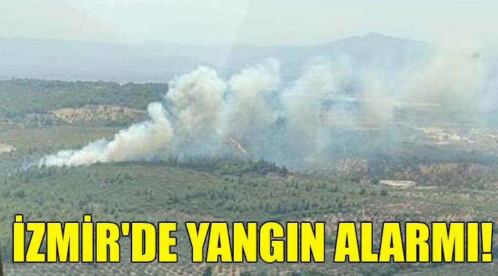 İzmir'de yangın alarmı!