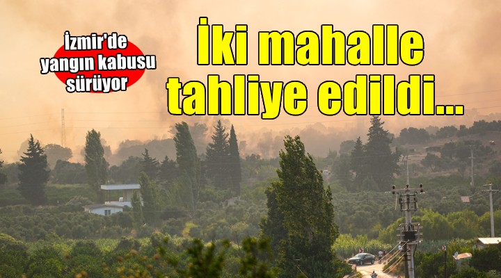 İzmir'de yangın kabusu sürüyor... İki mahalle tahliye edildi!