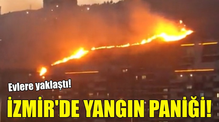 İzmir'de yangın paniği!