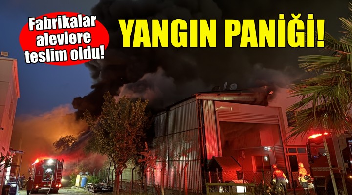 İzmir'de yangın paniği!