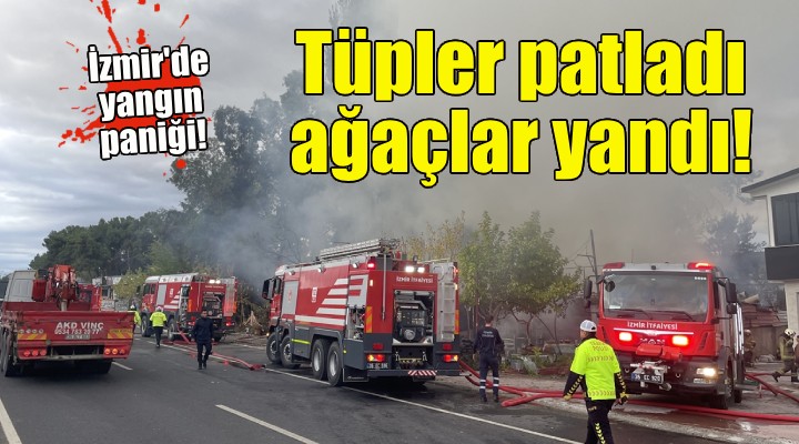 İzmir'de yangın paniği... Restoran küle döndü!