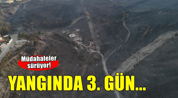 İzmir'de yangının 3. günü... Müdahaleler sürüyor!