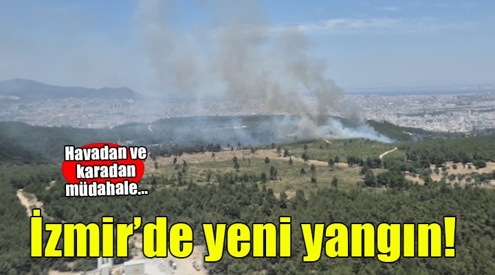 İzmir'de yeni yangın...