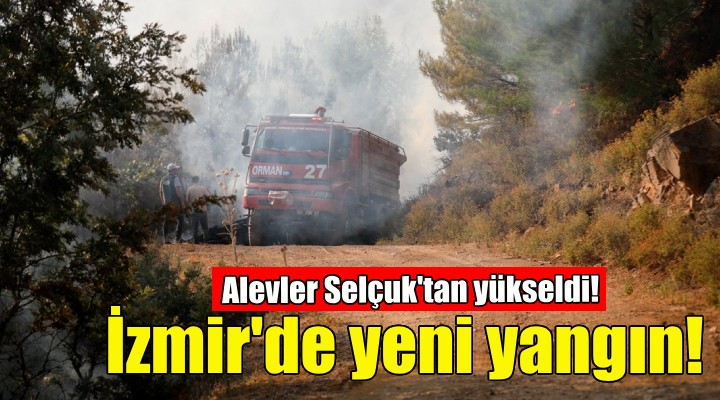 Selçuk'taki yangın kontrol altına alındı....