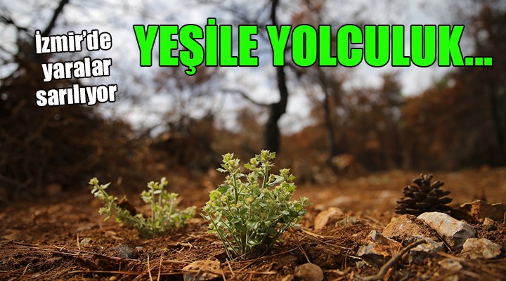 İzmir'de yeşile yolculuk