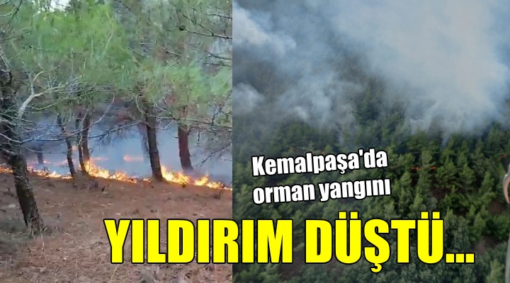 İzmir'de yıldırım düşmesi sonucu orman yangını çıktı!