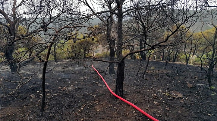 İzmir'de yıldırım kabusu: 5 ayrı yangın çıktı